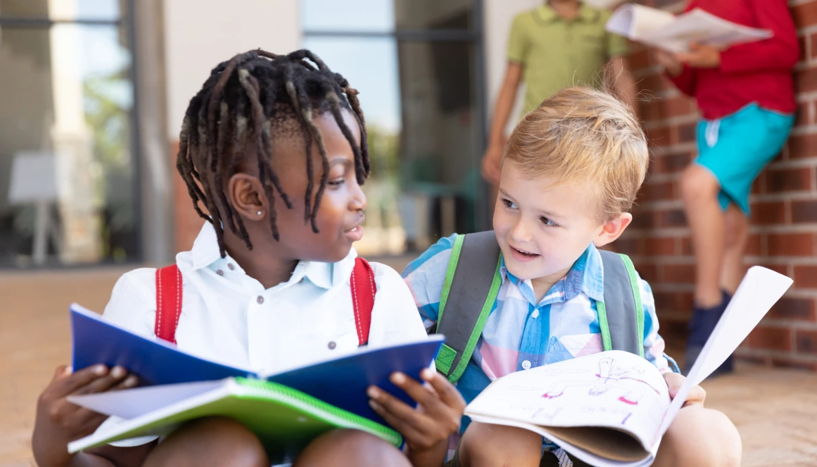 Pre-tertiary Institutes